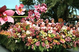 Madeira virágkarnevál - Madeira Flower Festival